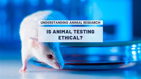 is animal testing harmful